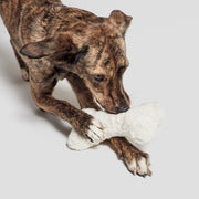 cloud7-love-bone-nature-white-pl-sch-hundespielzeug-knochen image 2
