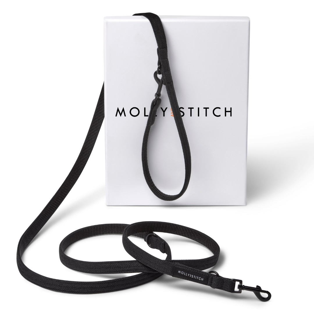 molly-and-stitch-soft-rock-verstellbare-hundeleine-black image 1