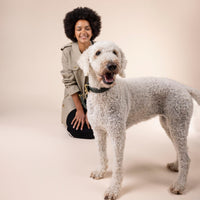 william-walker-leder-hundehalsband-prestige-forest-dunkelgr-n-geflochten image 8