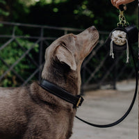 william-walker-leder-hundehalsband-noir-schwarz image 7