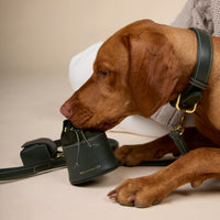 william-walker-leckerlibeutel-forest-dunkelgr-n-nappaleder-treat-bag image 4