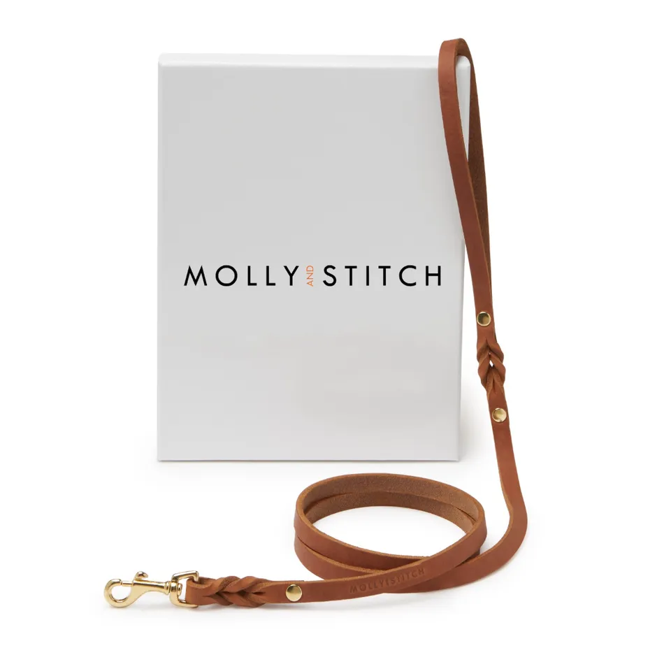 molly-and-stitch-butter-leather-city-hundeleine-sahara-cognac-140-cm image 1