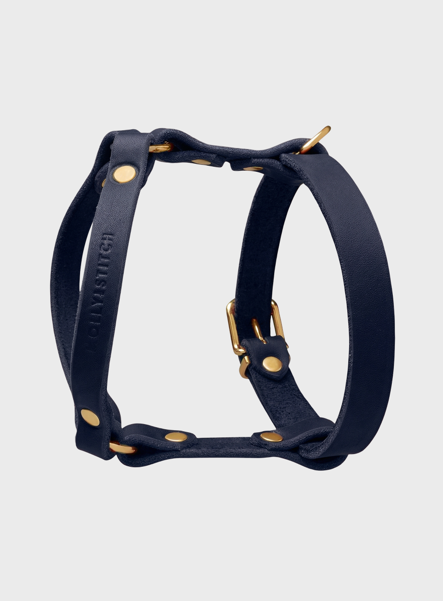 molly-and-stitch-butter-leather-y-geschirr-navy image 2