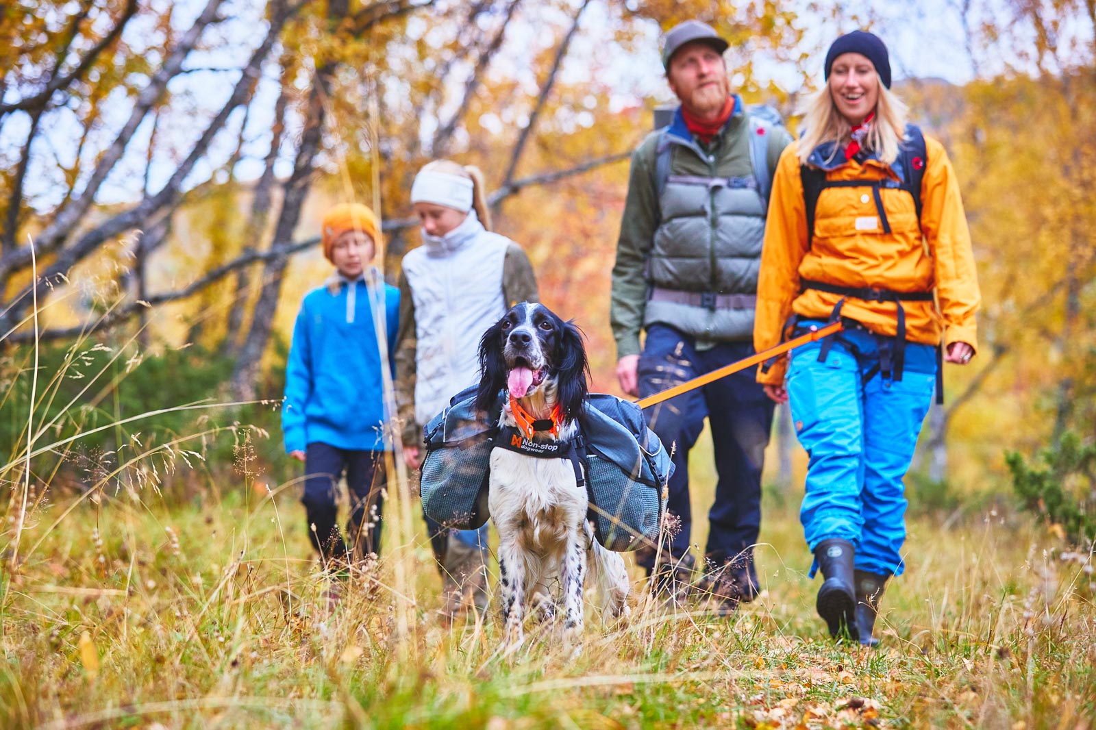 non-stop-dogwear-amundsen-pack-expeditions-hunderucksack-mit-rolltop image 5
