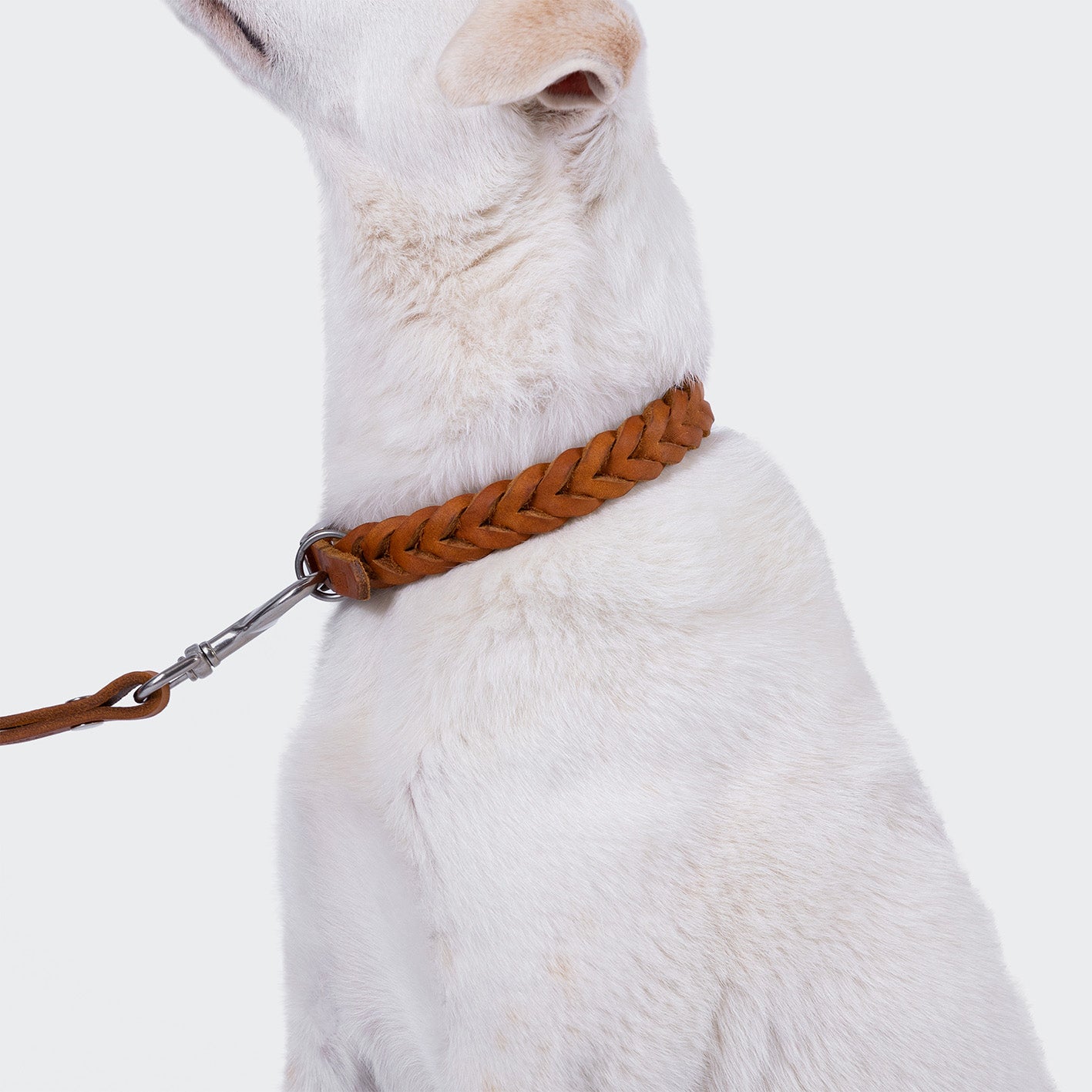cloud7-central-park-hundehalsband-camel-silver image 1