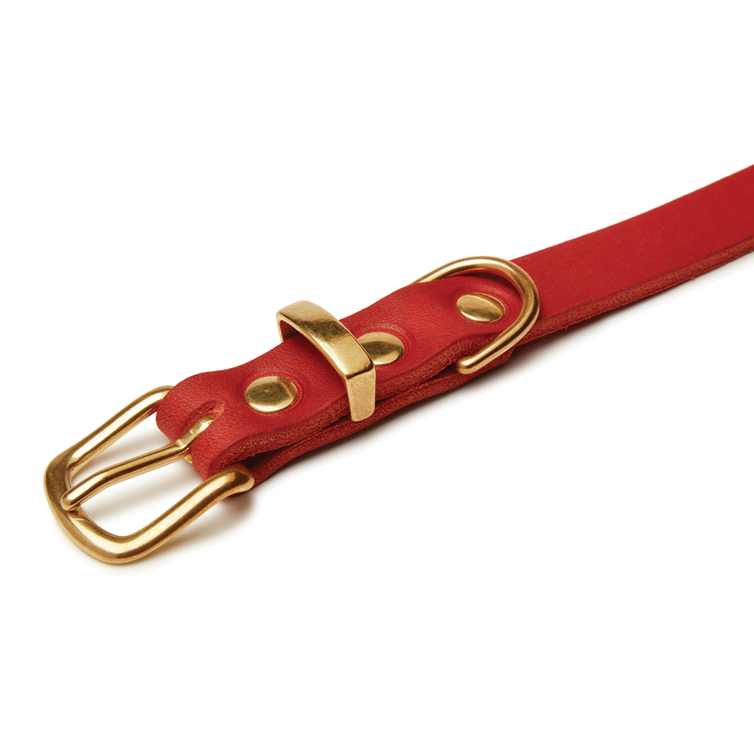 molly-and-stitch-butter-leather-hundehalsband-chili-red image 3
