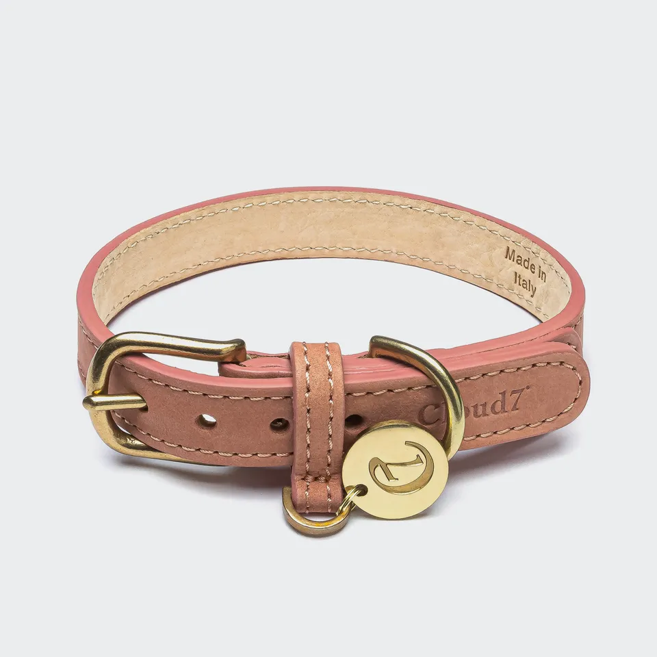 cloud7-tiergarten-hundehalsband-peach-nubukleder image 1
