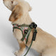 cloud7-rope-leash-lttl-dark-olive-leichte-seilleine-f-r-welpen-und-kleine-hunde image 2
