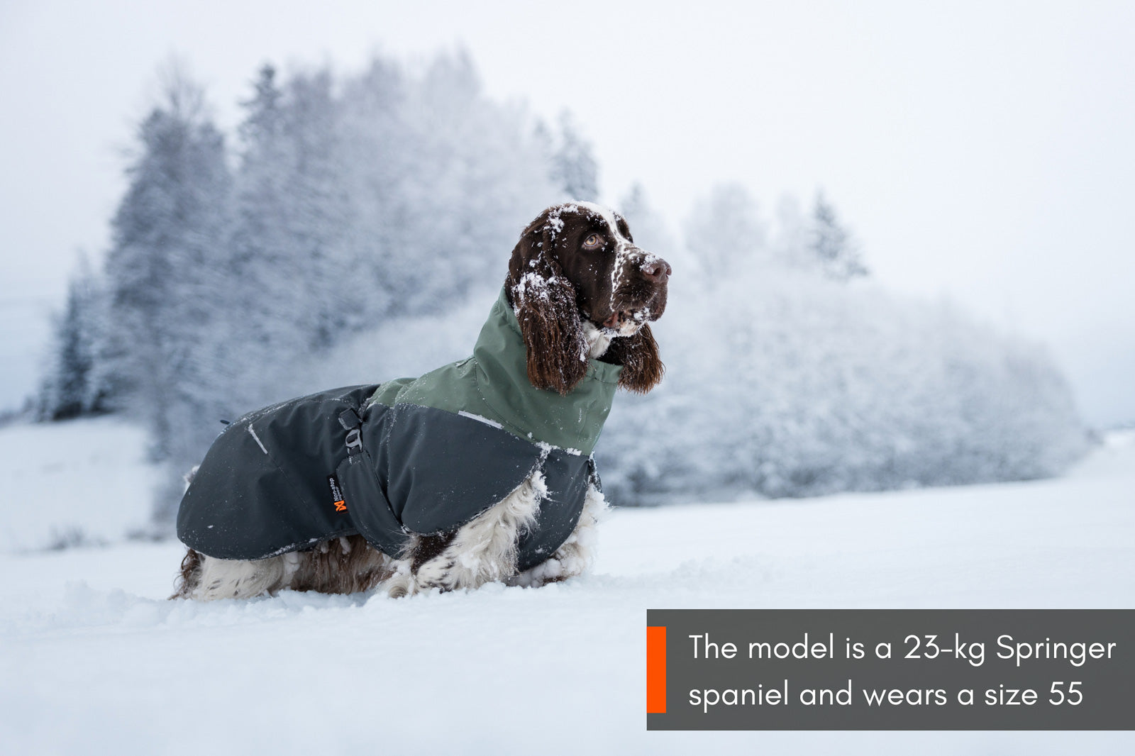 non-stop-dogwear-glacier-wool-jacket-2-0-isolierte-woll-hundejacke image 5