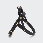 cloud7-central-park-hundegeschirr-leder-black-gold image 3