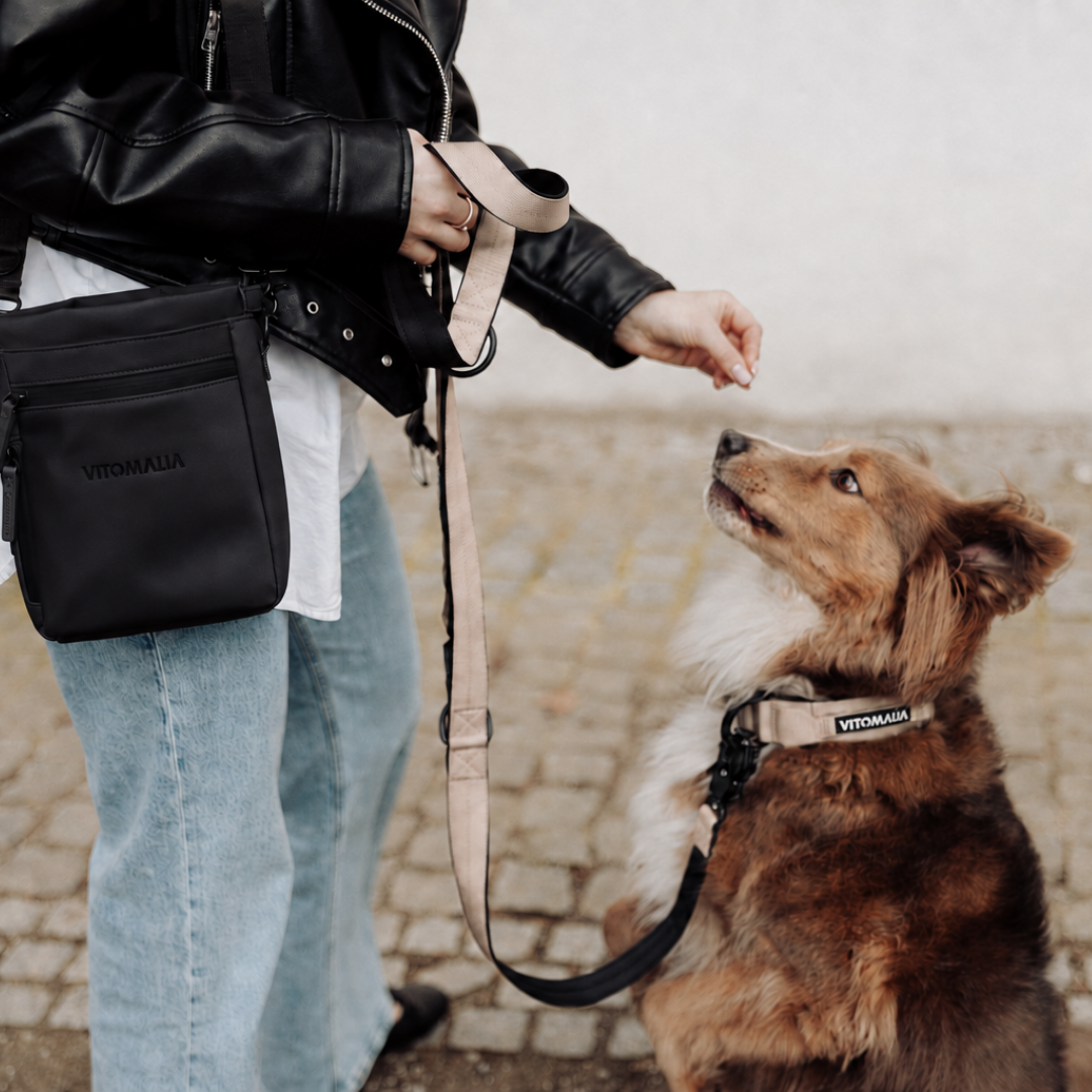 vitomalia-extreme-edition-robustes-hundehalsband-mit-sicherheitsverschluss-magne image 7