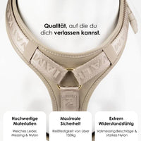 william-walker-leder-y-hundegeschirr-plain image 2