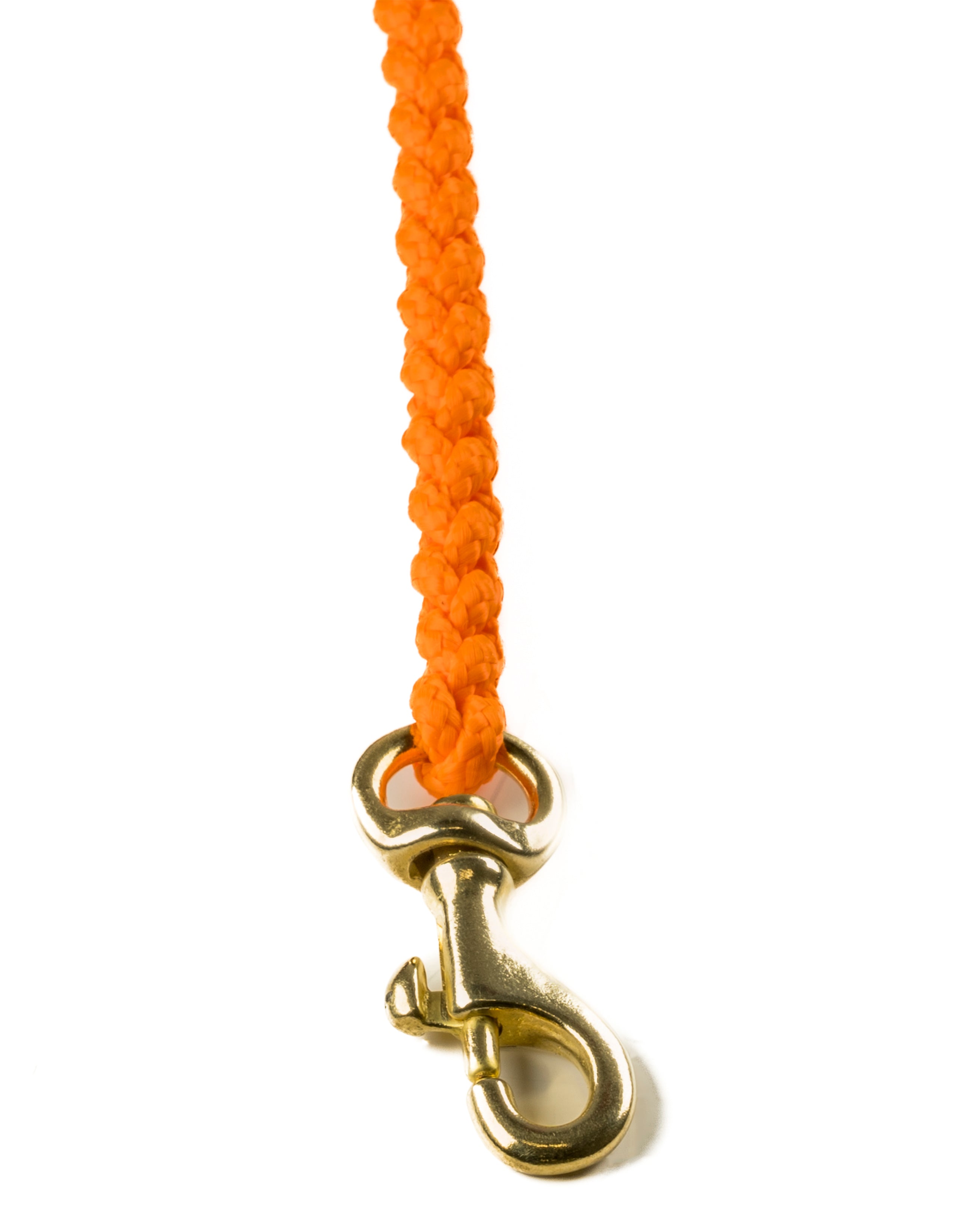 molly-and-stitch-touch-of-leather-hundeleine-pumpkin image 8