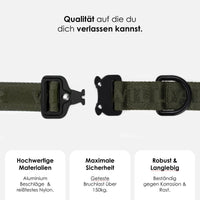 william-walker-jacquard-nylon-hundehalsband-forest-dunkelgr-n image 2