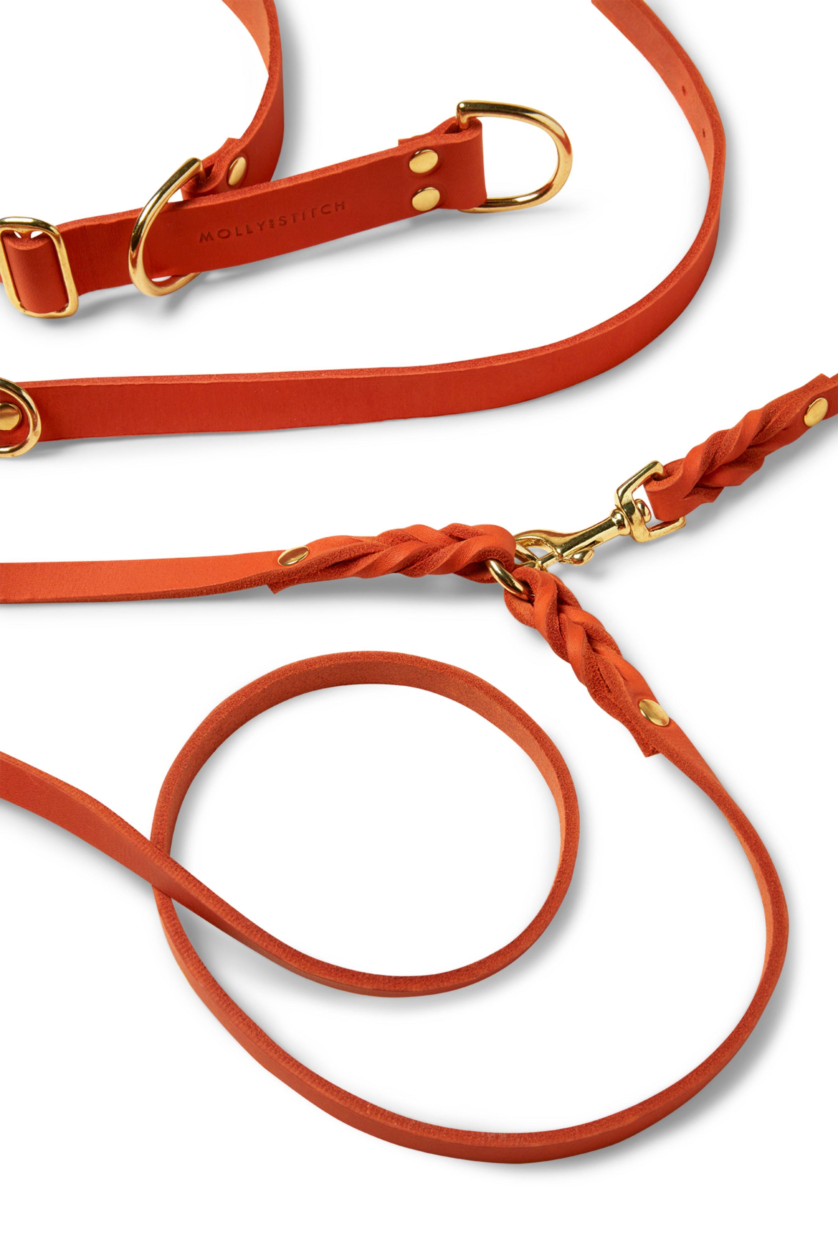 molly-and-stitch-butter-leather-hundeleine-mango-3x-verstellbar-200-cm image 6