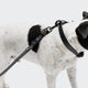cloud7-ipanema-verstellbare-hundeleine-biothane-black-olive-2-50-m image 3