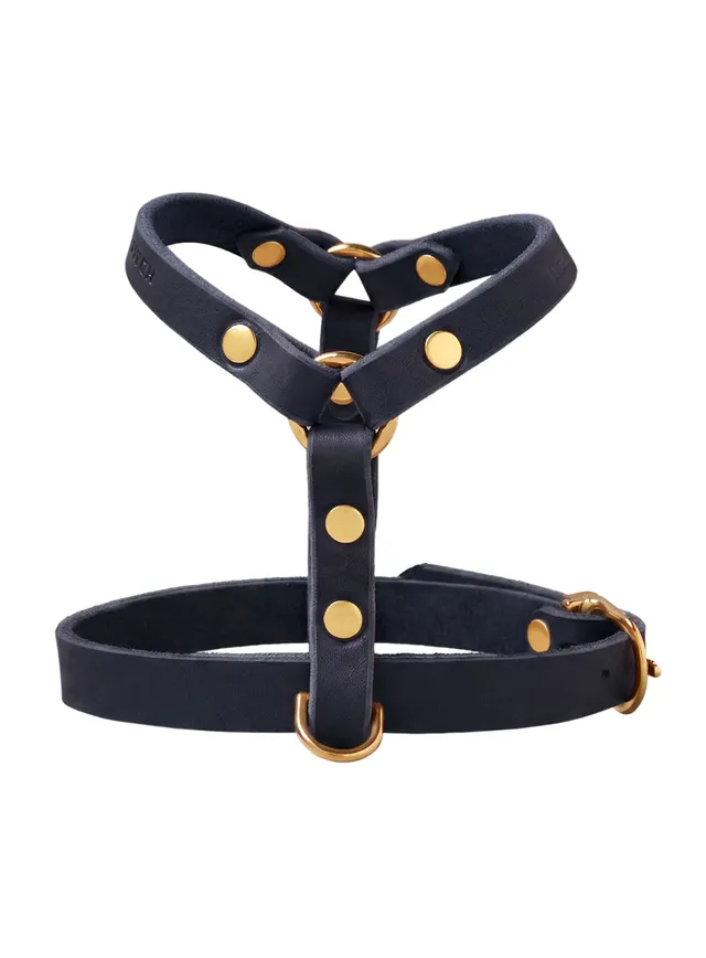 molly-and-stitch-butter-leather-y-geschirr-navy image 1