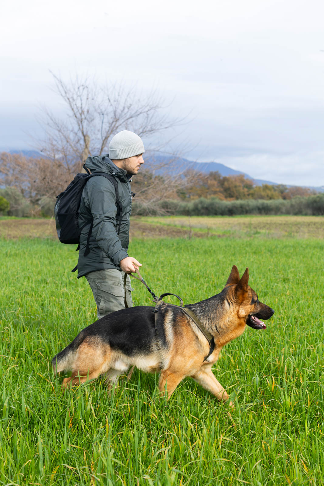 non-stop-dogwear-touring-bungee-wd-elastische-working-dog-leine image 3
