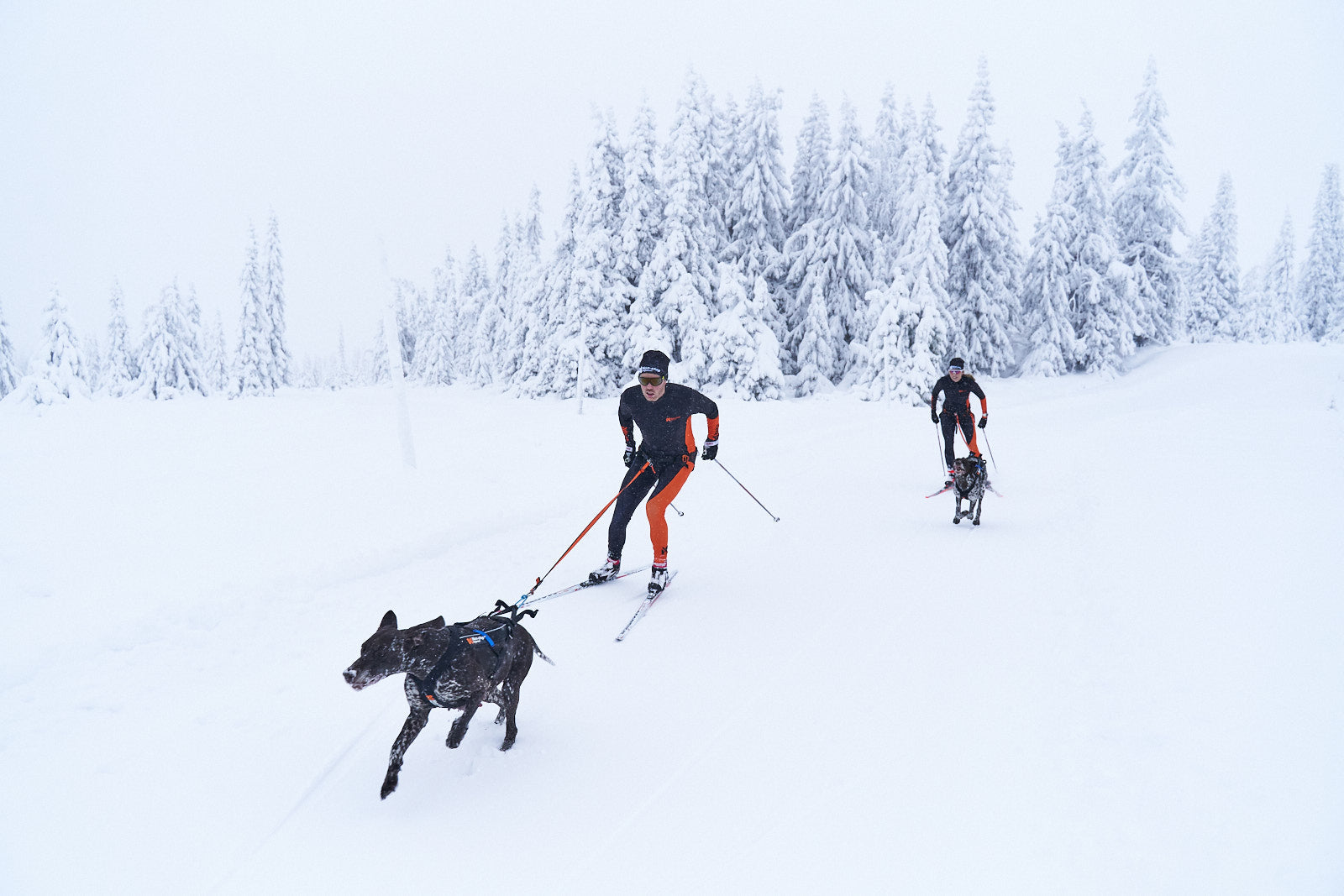 non-stop-dogwear-racesuit-herren-einteiler-skianzug-f-r-skij-ring image 8