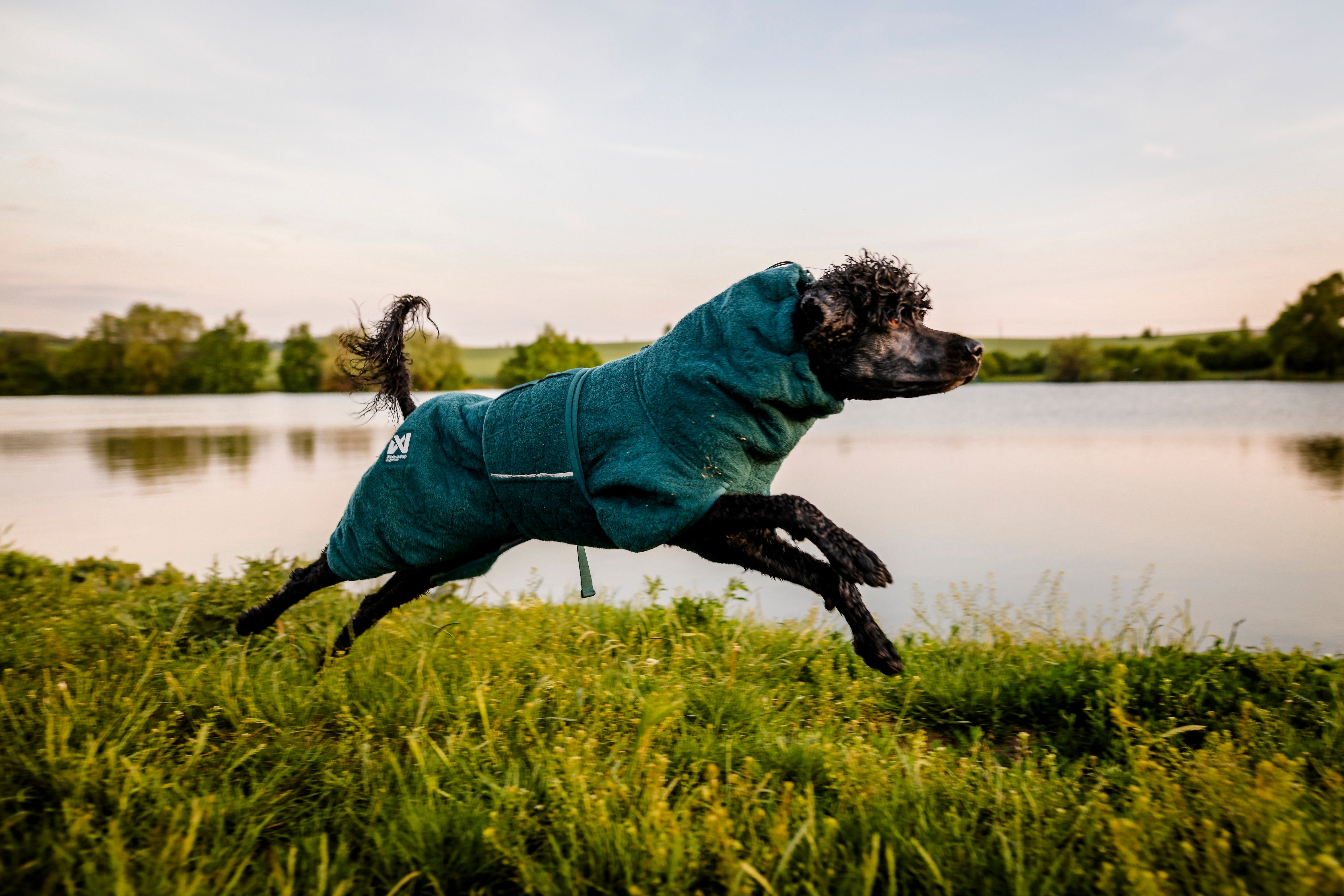 non-stop-dogwear-drying-coat-trockenmantel-hund image 7