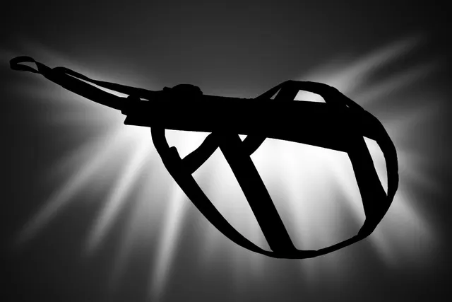 non-stop-dogwear-freemotion-harness-pro-leistungs-zuggeschirr-f-r-canicross-bike image 1
