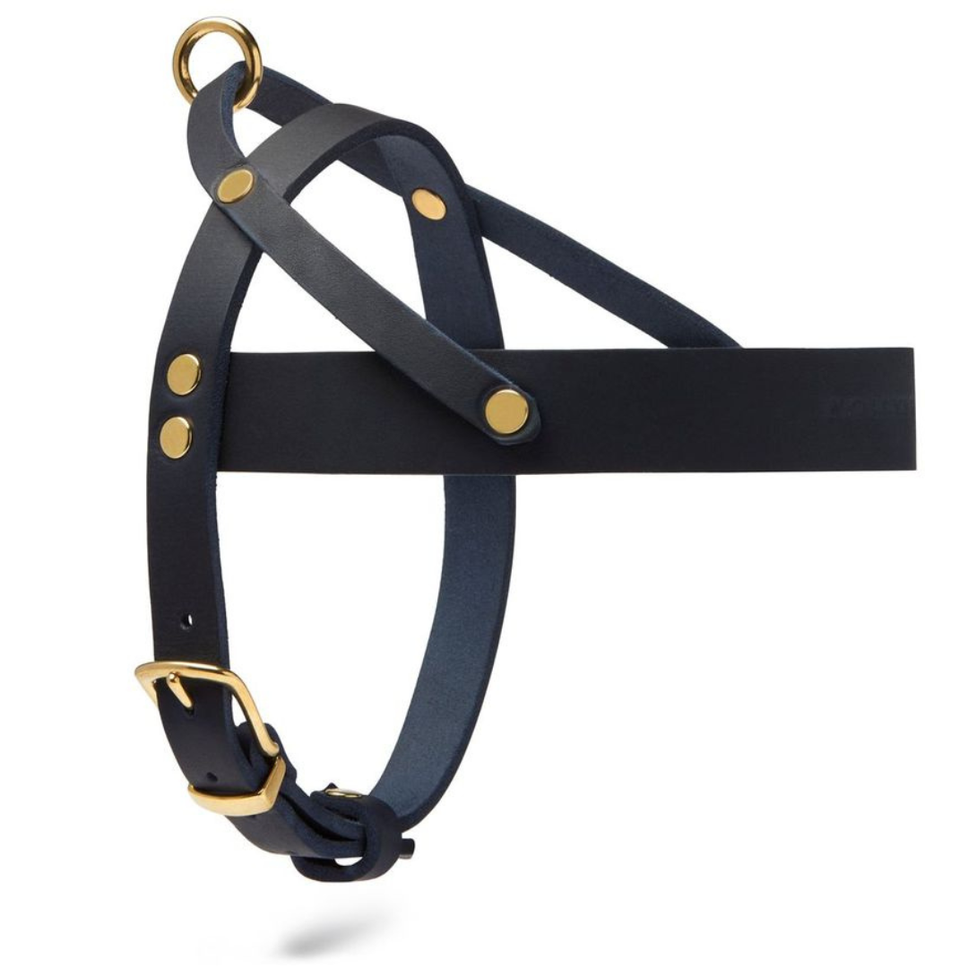 molly-and-stitch-butter-leather-hundegeschirr-navy-blue image 3
