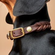 cloud7-hundehalsband-central-park-saddle-brown-gold image 5
