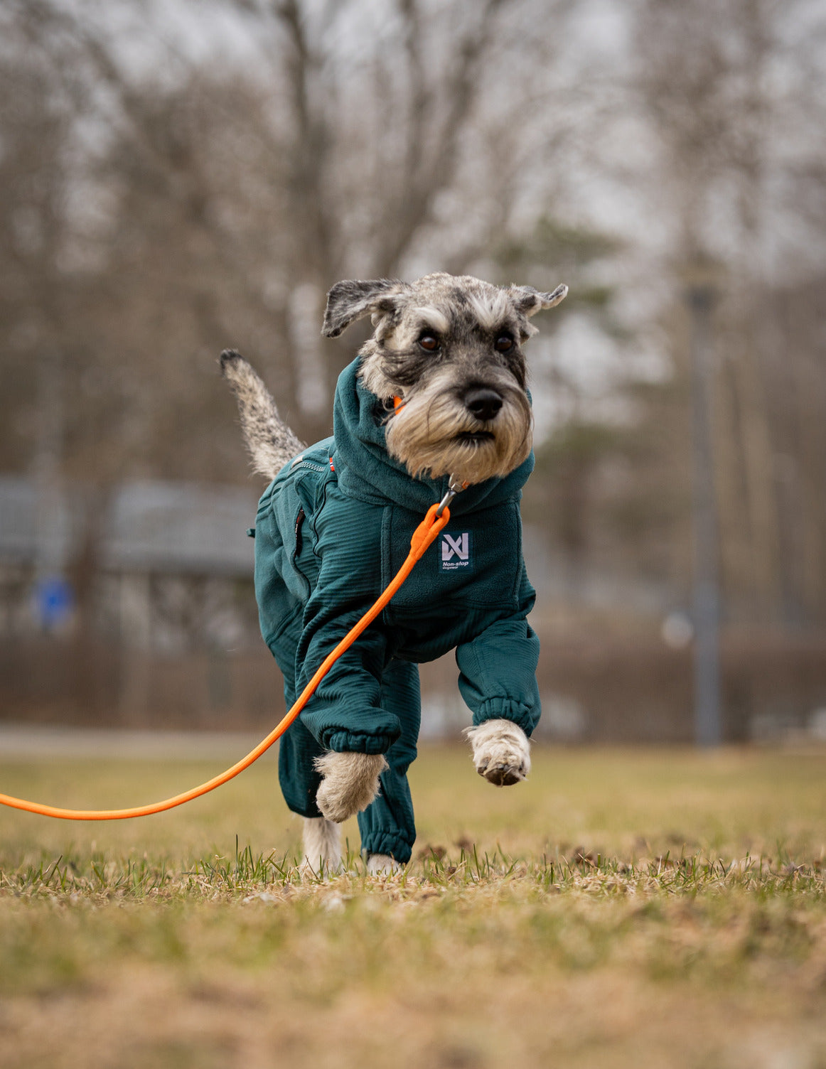 non-stop-dogwear-trail-quest-fleece-overall-hundeoverall image 4