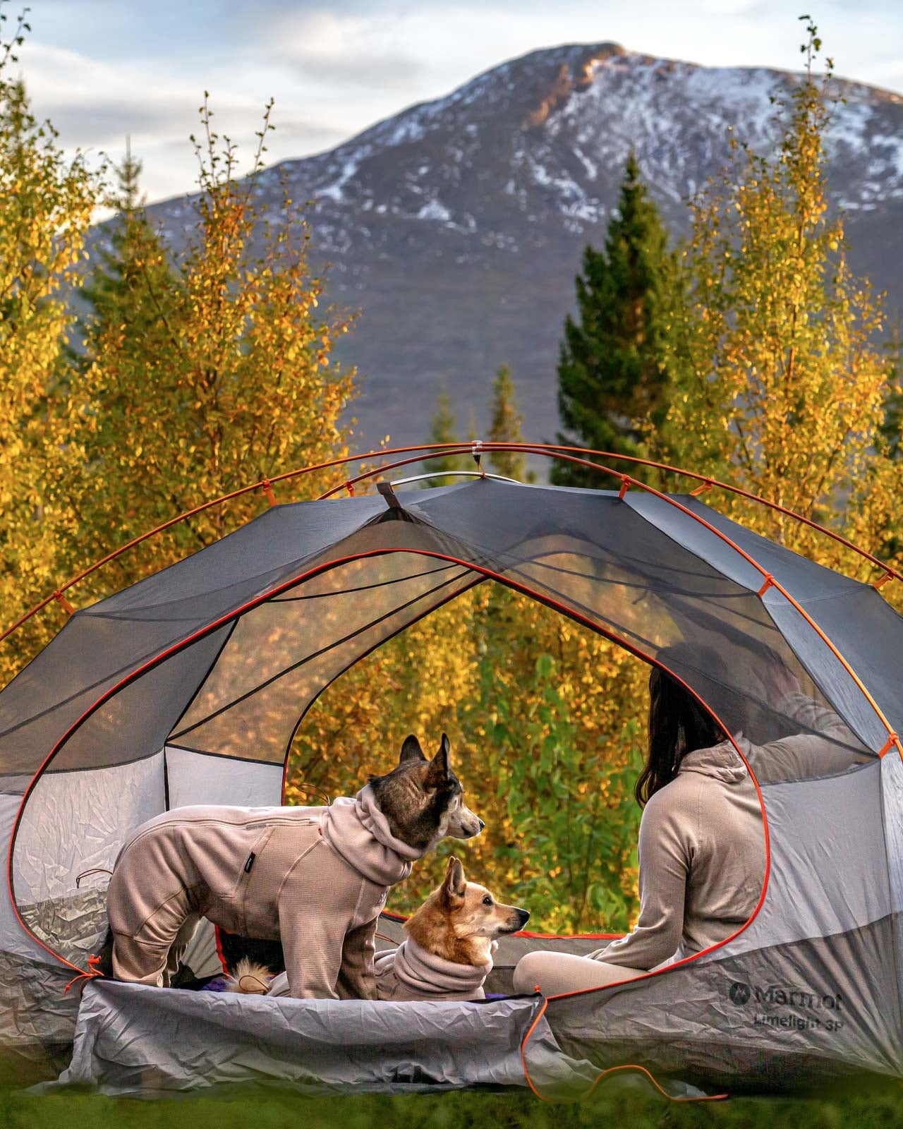 non-stop-dogwear-trail-quest-fleece-overall-hundeoverall image 7