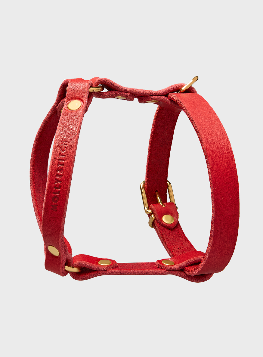 molly-and-stitch-butter-leather-y-geschirr-chili-red image 2