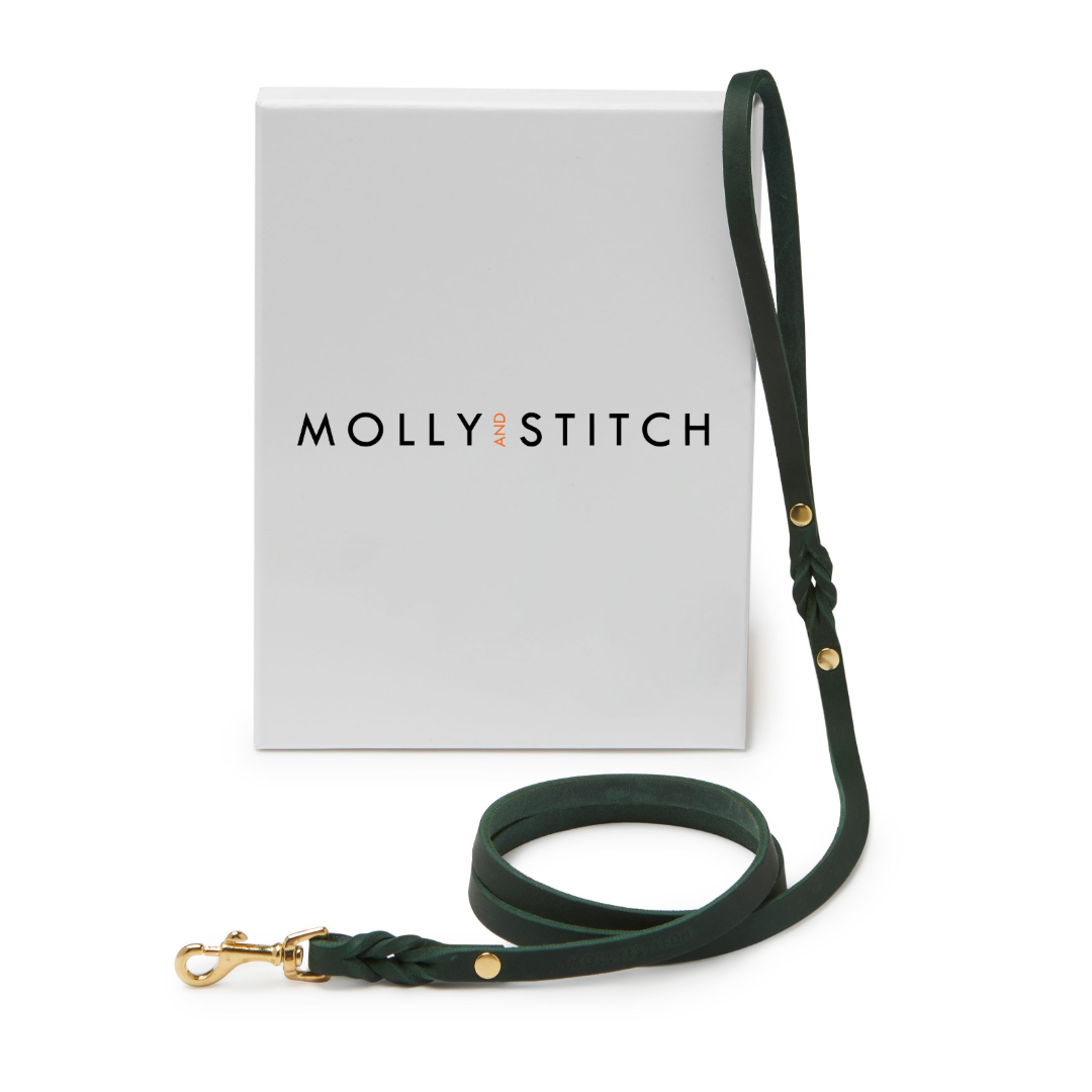 molly-and-stitch-butter-leather-city-hundeleine-forest-green-140-cm image 1