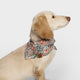 cloud7-lttl-hundehalstuch-blossoms-f-r-welpen-und-kleine-hunde image 2