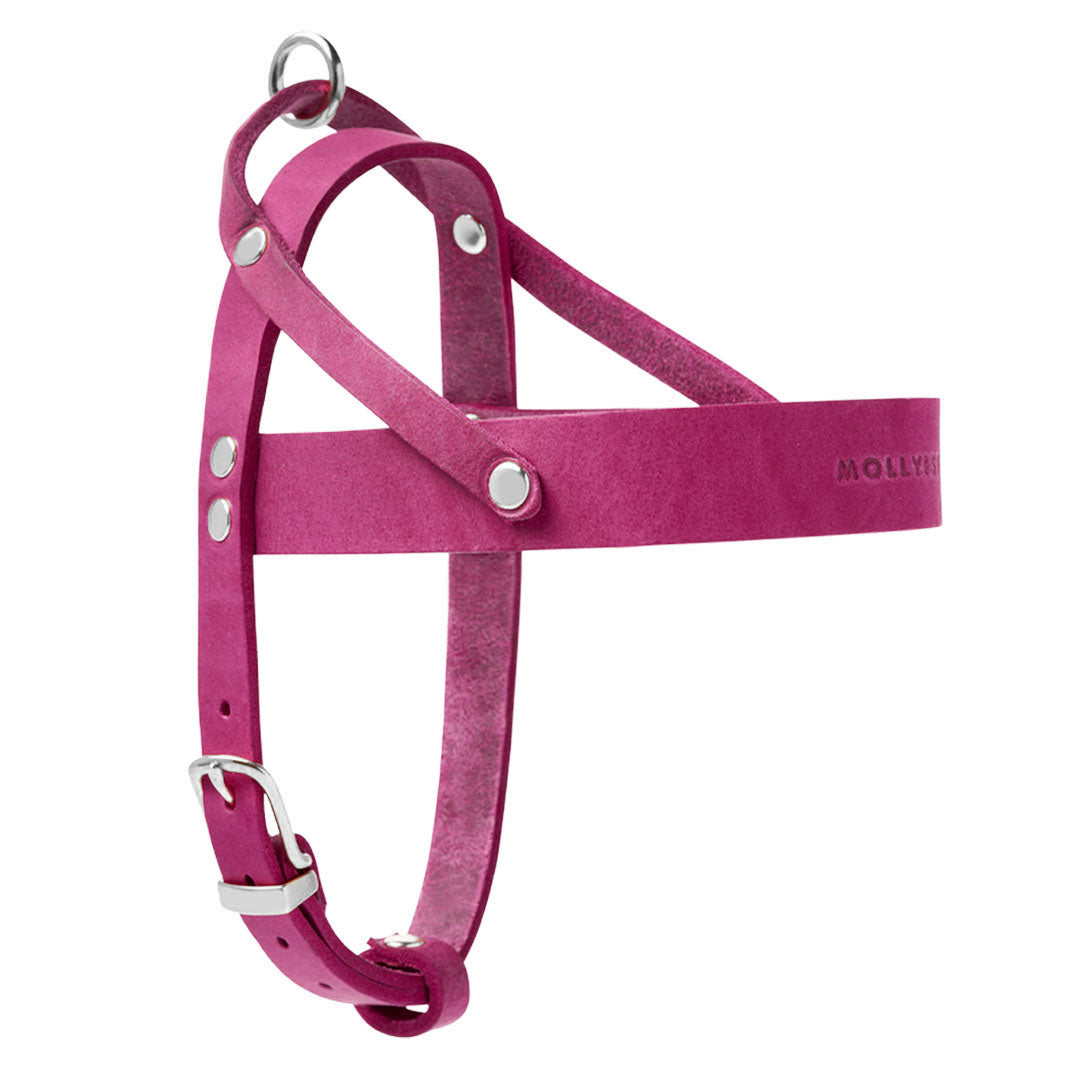 molly-and-stitch-butter-leder-hundegeschirr-flamingo image 5