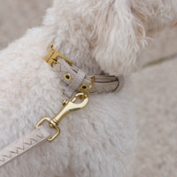 william-walker-prestige-leder-hundehalsband-almond-beige image 8