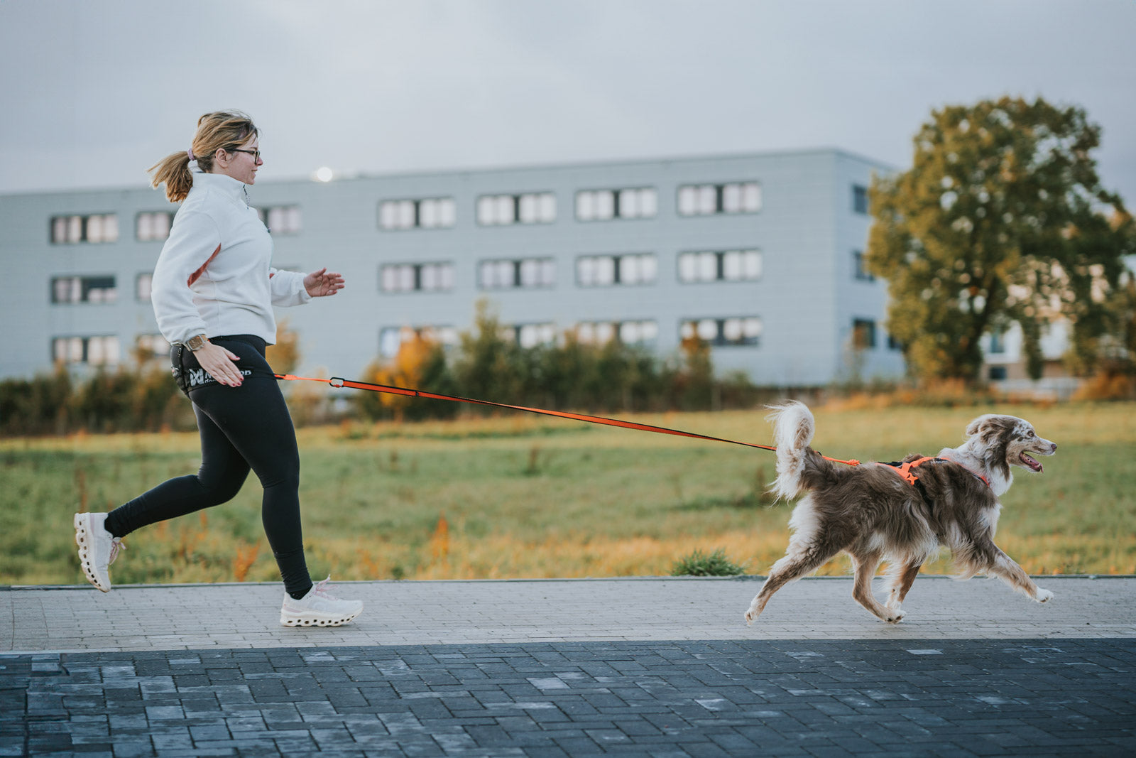 non-stop-dogwear-rush-harness-kurzes-zuggeschirr-f-r-canicross-und-bikej-ring image 3