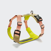 cloud7-hundegeschirr-y-2-aktiv-cordura-peach image 2