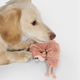 cloud7-dog-toy-lttl-shrimp-susi-pl-sch-garnele-16-x-9-cm image 2