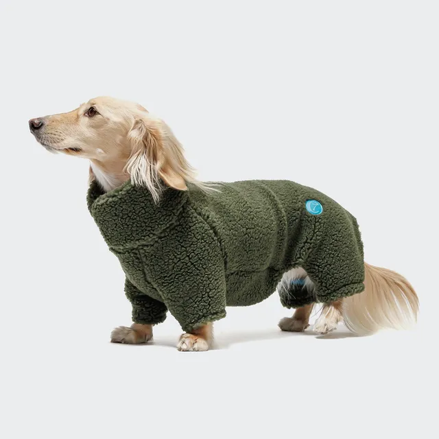 cloud7-cornwall-teddy-olive-hundepullover-f-r-dackel image 1