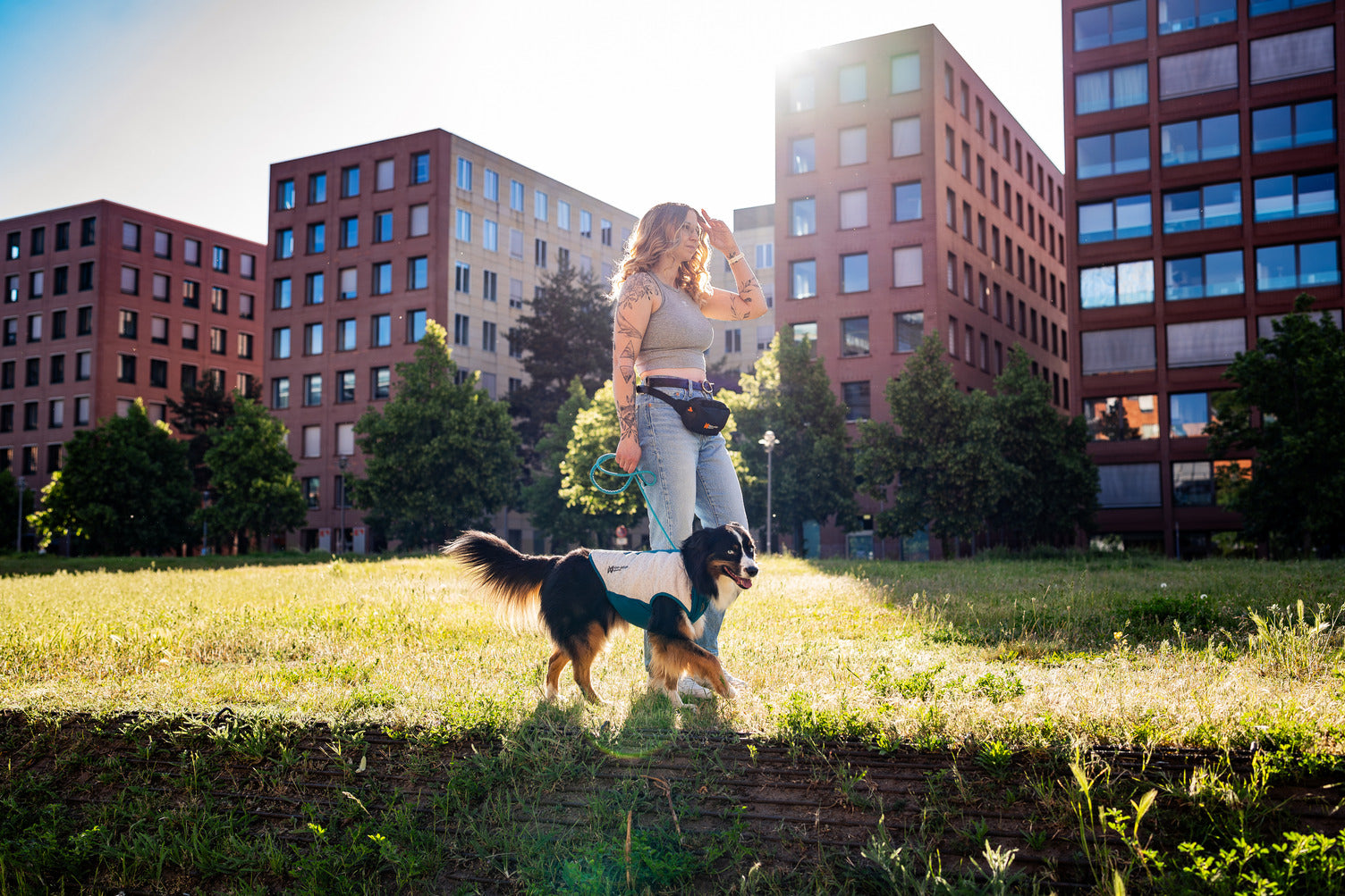 non-stop-dogwear-cooling-pull-on-weste-hund-k-hlweste image 5