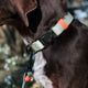 cloud7-ipanema-halsband-biothane-mint-neon-orange-wasserfestes-hundehalsband image 5