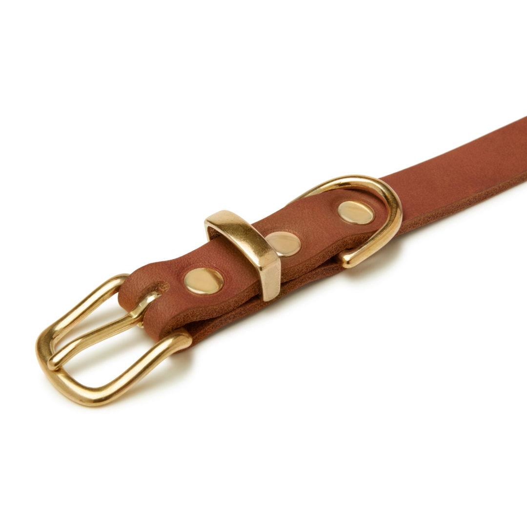 molly-and-stitch-butter-leather-hundehalsband-sahara-cognac image 3