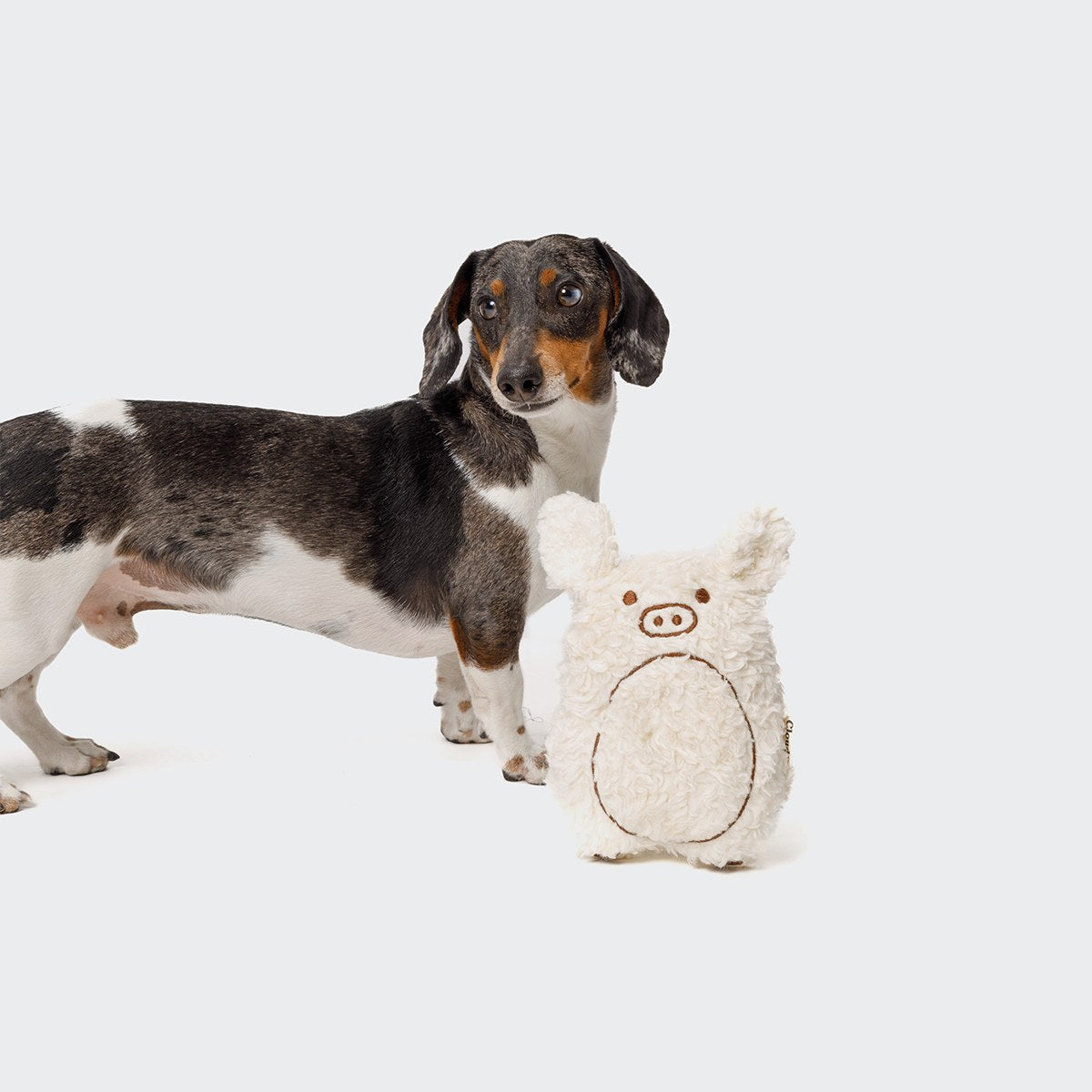 cloud7-hundespielzeug-schweinchen-harry-pl-sch image 2