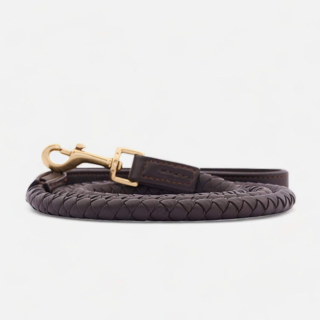 william-walker-twisted-leder-hundeleine-earth-braun image 1