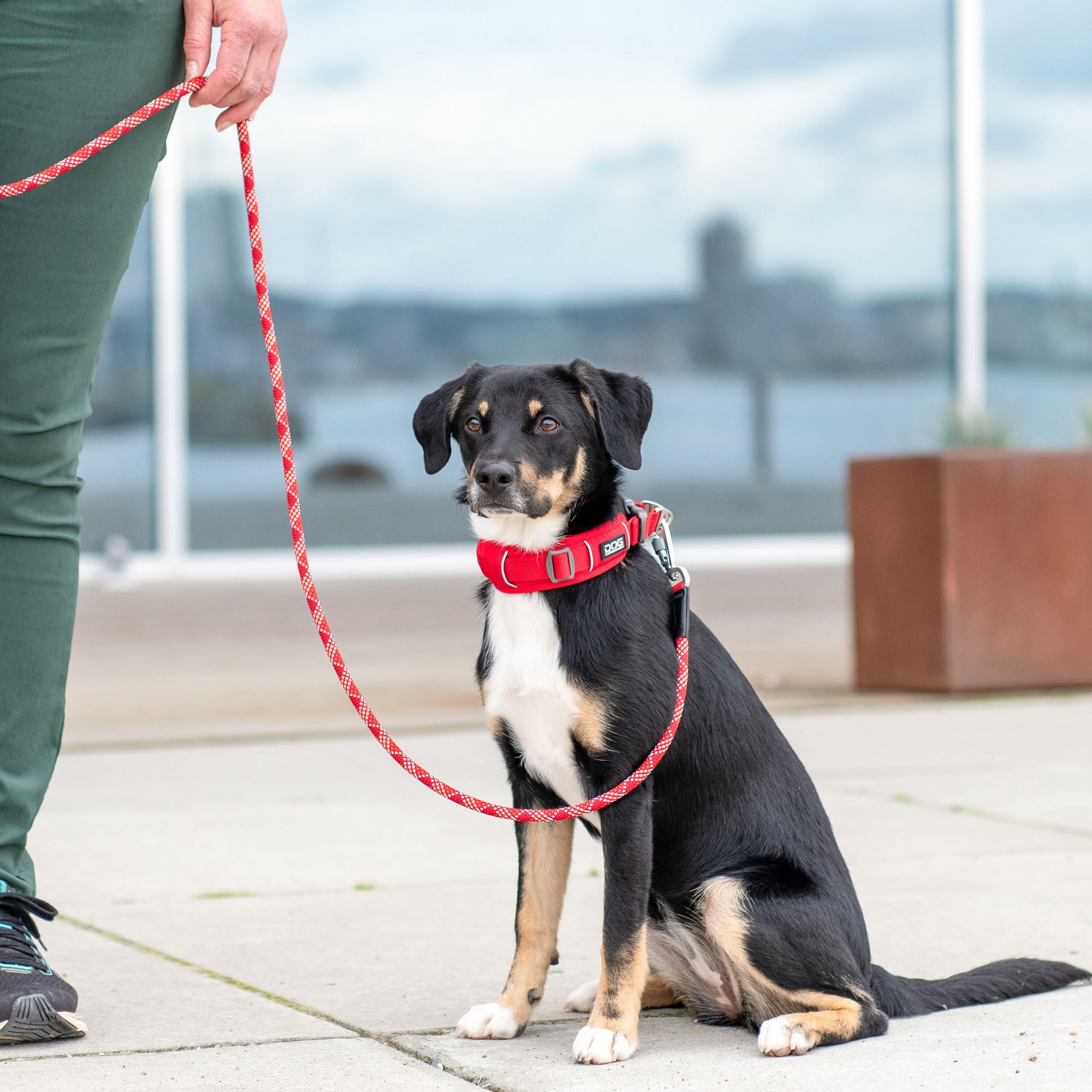 dog-copenhagen-urban-explorer-3-0-halsband-classic-red-m image 7