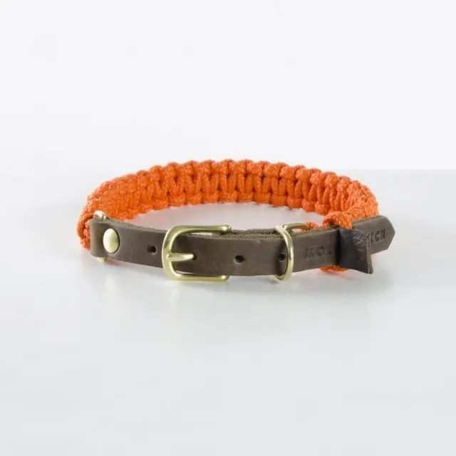 molly-and-stitch-touch-of-leather-hundehalsband-pumpkin image 1