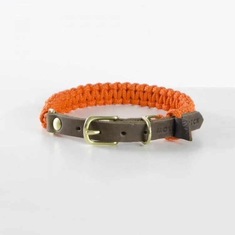 molly-and-stitch-touch-of-leather-hundehalsband-pumpkin image 1