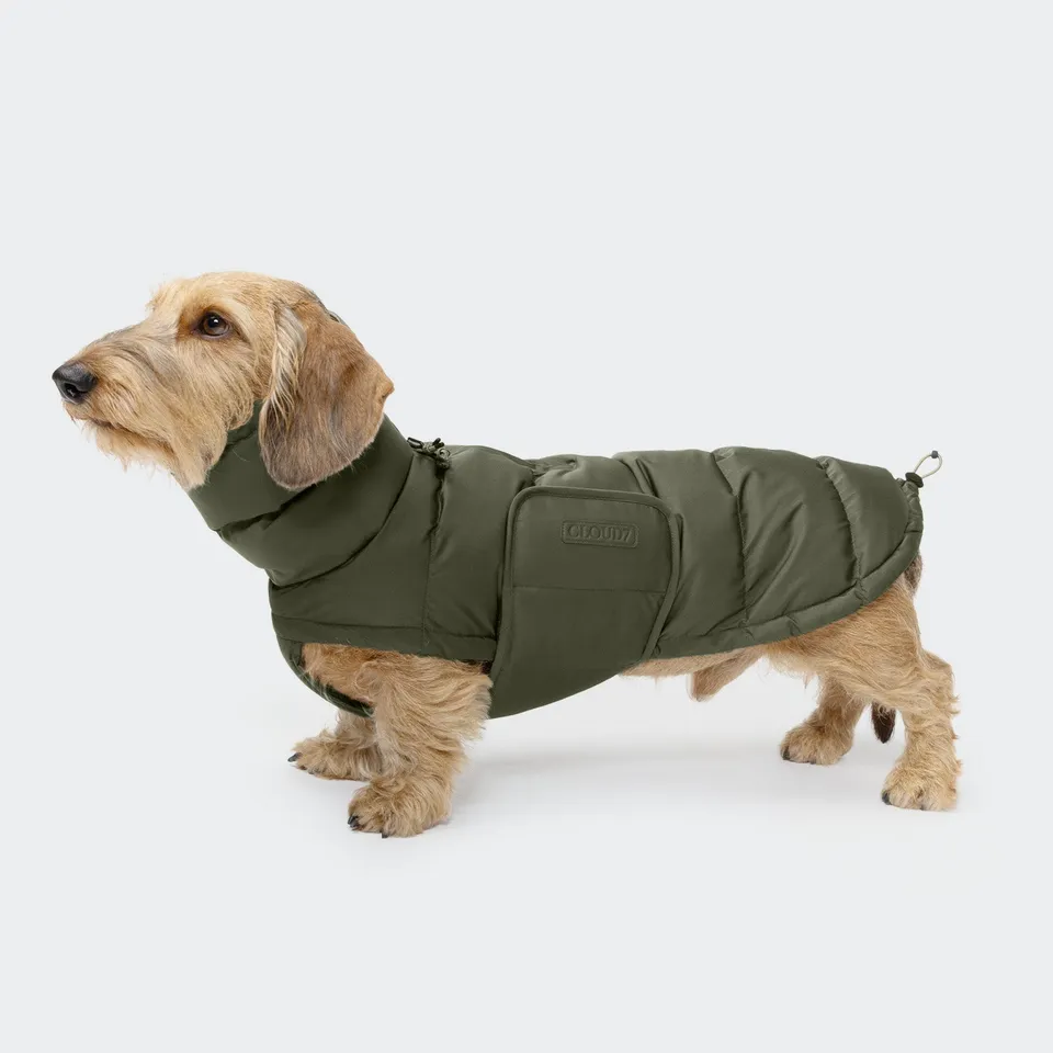 cloud7-alaska-light-olive-winter-hundemantel-f-r-dackel image 1