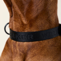 william-walker-apex-jacquard-nylon-hundeleine-nero-schwarz image 8