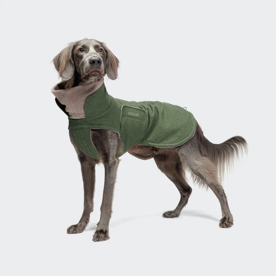 cloud7-hundemantel-brooklyn-long-flannel-fern-green image 1