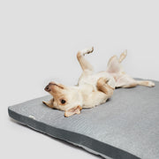 cloud7-siesta-hundebett-tweed-grey image 2